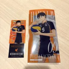 一番くじ ハイキュー 最強の挑戦者I賞 チケットケース＆クリアカードセット 影山