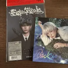 &TEAM ハルア HARUAアルバム　CD ソロジャケセット