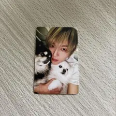 第1回発売記念 ふみカード 500 犬柄 - メルカリ