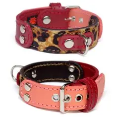 Item thumbnail for item 5383bc0f-b5cf-4ab3-bbb9-949eedcd949d