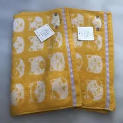 Item thumbnail for item 70bdfde8-86ca-4d20-8122-e39b993e9763