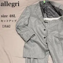 allegri アレグリ 三陽商会 スーツセットアップ 48L 美品 ウールのサムネイル