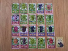 長野県　生坂村　ぶどうカード第2弾コンプリートセット 2026年最新】長野県生坂村の人気アイテム - メルカリ