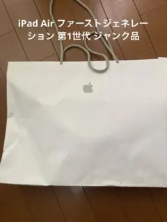 Apple iPad Air 本体 第1世代 ジャンク品