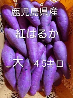 鹿児島県産 紅はるか 大サイズ4.5キロ