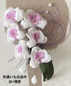 つまみ細工　髪飾り　胡蝶蘭　成人式　前撮り　卒業式　和装
