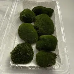 ししまる様 リクエスト 2点 まとめ商品