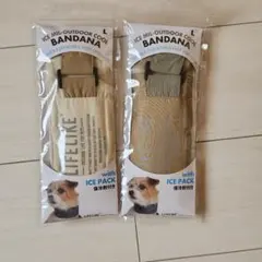 Item thumbnail for item 0de91dd7-fbf4-4a83-a944-f8780bdb8b80