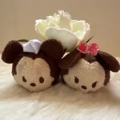ディズニー ツムツム ぬいぐるみ マスコット 2点セット(バレンタイン)