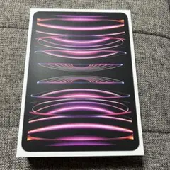 iPad Pro 11 第4世代 256GB WiFi