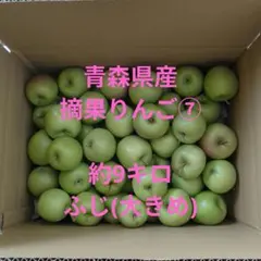 青森県産　摘果りんご⑦　約9キロ(箱含む)　加工用のサムネイル