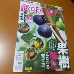 Item thumbnail for item fd89c006-408b-4ade-84c5-a6b587243966