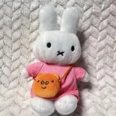 Item thumbnail for item 21b6cb47-5369-4314-b4fd-a706042458e4