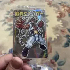 神羅万象チョコ 森羅万象 獣牙王エドガー 미개봉