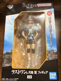 一番くじ ハイキューくじ ラストワン 月島蛍 アクスタ クリアファイル