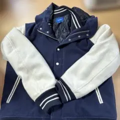 Item thumbnail for item 5336d8fa-21e2-4e8e-8577-2a165ab93fad