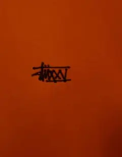 old Stussy オレンジ Tシャツ 刺繍ロゴ