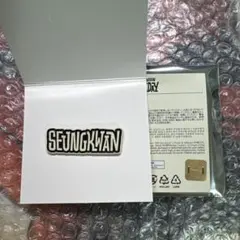 SEVENTEEN HOLIDAY スングァン ピンバッジ 1点