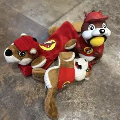 【激レア！】Buc-ee's バッキーズ3点セット