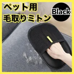 Item thumbnail for item e5a1ad21-1bfe-487f-84c7-b77274860047