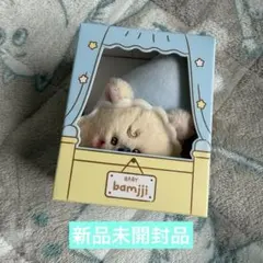 Cha様専用　NCT DREAM LINE FRIENDS チソン　ぬいぐるみ