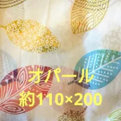 Item thumbnail for item 53d797e2-9f90-40e0-8116-dc97ff6ecf14