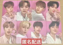 スキズ　ナシフィック　トレカ　コンプ　⑩