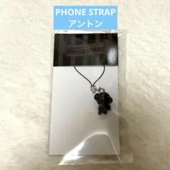 RIIZE エキシビション MD キーリング アントン fame ストラップ