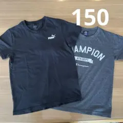 Tシャツ　150 PUMA champion