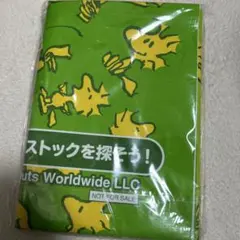 Item thumbnail for item 0e658fed-39ce-4dfe-99e5-e15f1b60895e