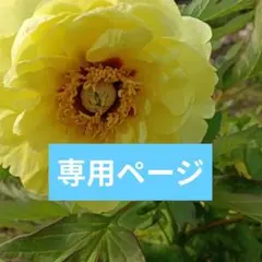 ゆふ様　専用ページ