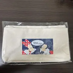 Disney ミッキー ミニー 収納ケース