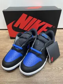 Item thumbnail for item 2a11d5fe-ac8e-47f7-8675-33953efefea0