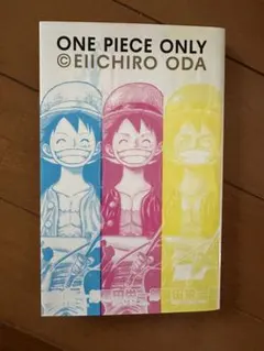 新品未開封　新品未使用　ONE PIECE ONLY 展　図録　カラーバージョン ワンピースオンリー展 展覧会公式図録『ONE PIECE ONLY / 4C』 カラー