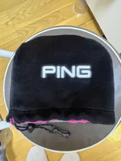 Item thumbnail for item 0423a734-1e21-45c1-a190-c82181a6adec