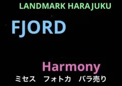 Mrs.GREEN APPLE フォトカ