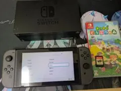Nintendo Switch 本体 あつまれ どうぶつの森 ソフト付き