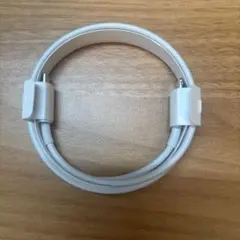 Apple純正 USB-C to Lightningケーブル ホワイト 1m