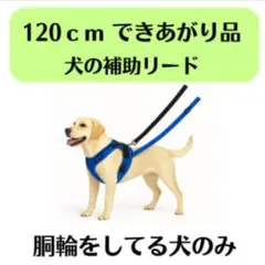 Item thumbnail for item 925f2a2e-90bc-4656-a34a-7b22d2cdf39b