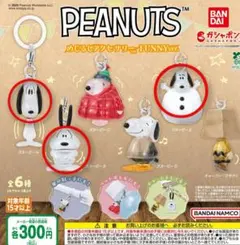 PEANUTS めじるしアクセサリー FUNNYver.　ABEの３点