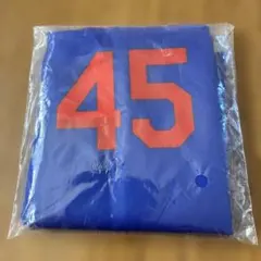 中日ドラゴンズ　ドームガチャ　エコバッグ　#45