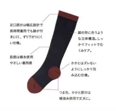 Item thumbnail for item 39037e94-67b1-4006-94f0-29e035eab102