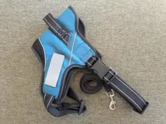 Item thumbnail for item 2e7fc7ee-700b-4a94-ad09-3ffe3ee03906