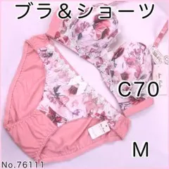 ブラジャーショーツセットC70 No.76111