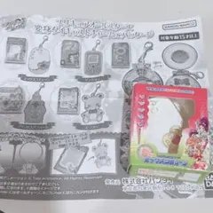 プリキュアオールスターズ 変身ダイキャストチャーム＆パッケージ