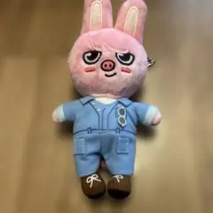 2026年最新】straykids チャンビン ぬいぐるみの人気アイテム - メルカリ