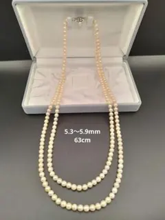 Item thumbnail for item a34fafbb-293e-45e1-ab46-1220fa0ddff8