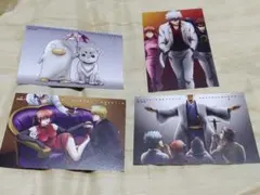 エリザベス　定春　銀魂　イラストカード　4枚セット　坂田銀時