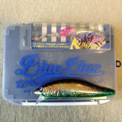 2026年最新】blueblueルアーの人気アイテム - メルカリ