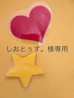 しおとぅす。様専用⭐️